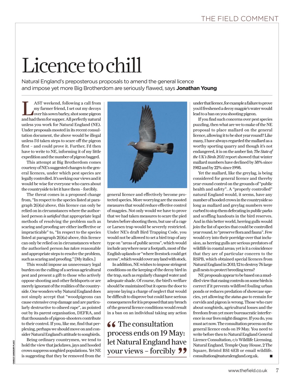 The Field Preview Pages