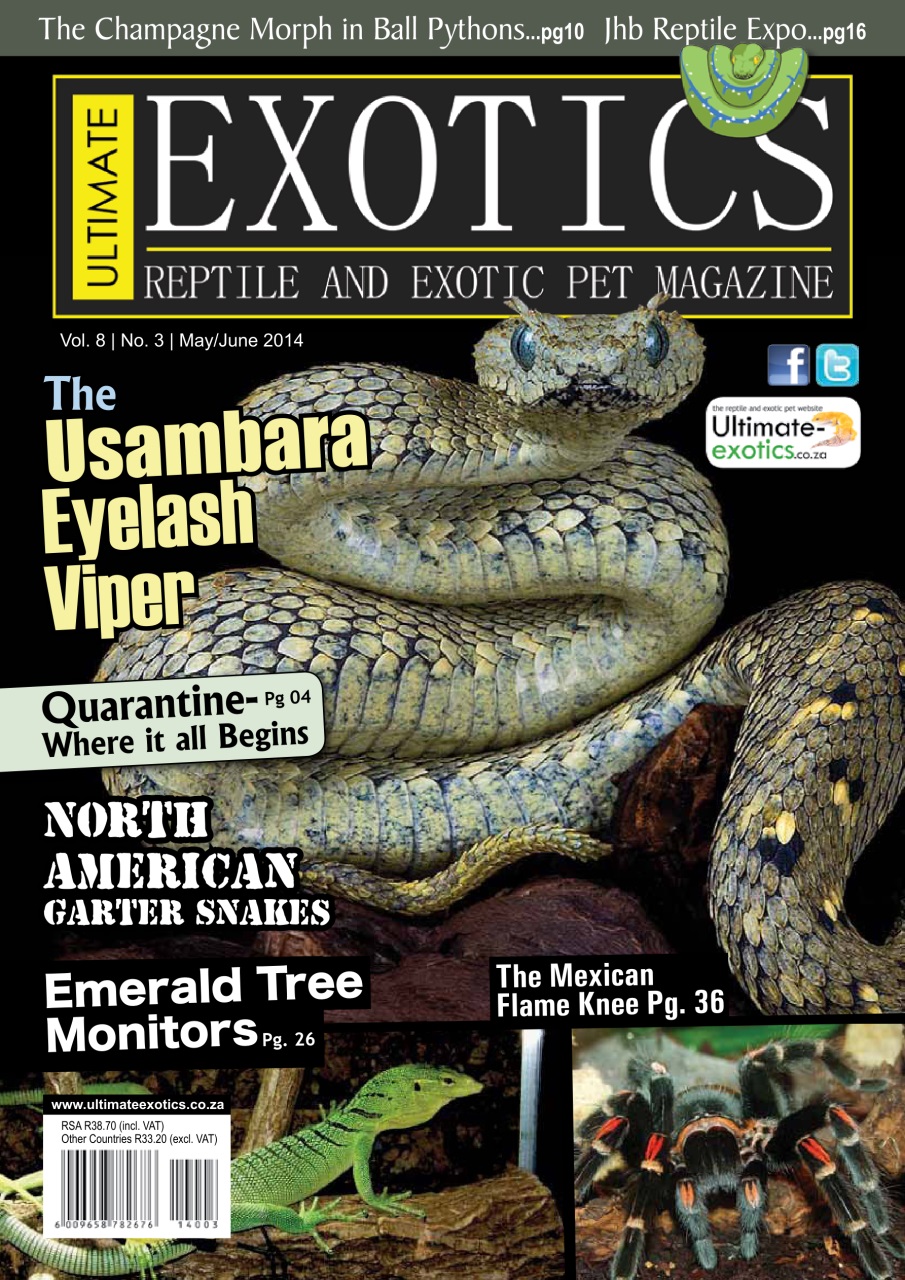 Ultimate Exotics Preview Pages