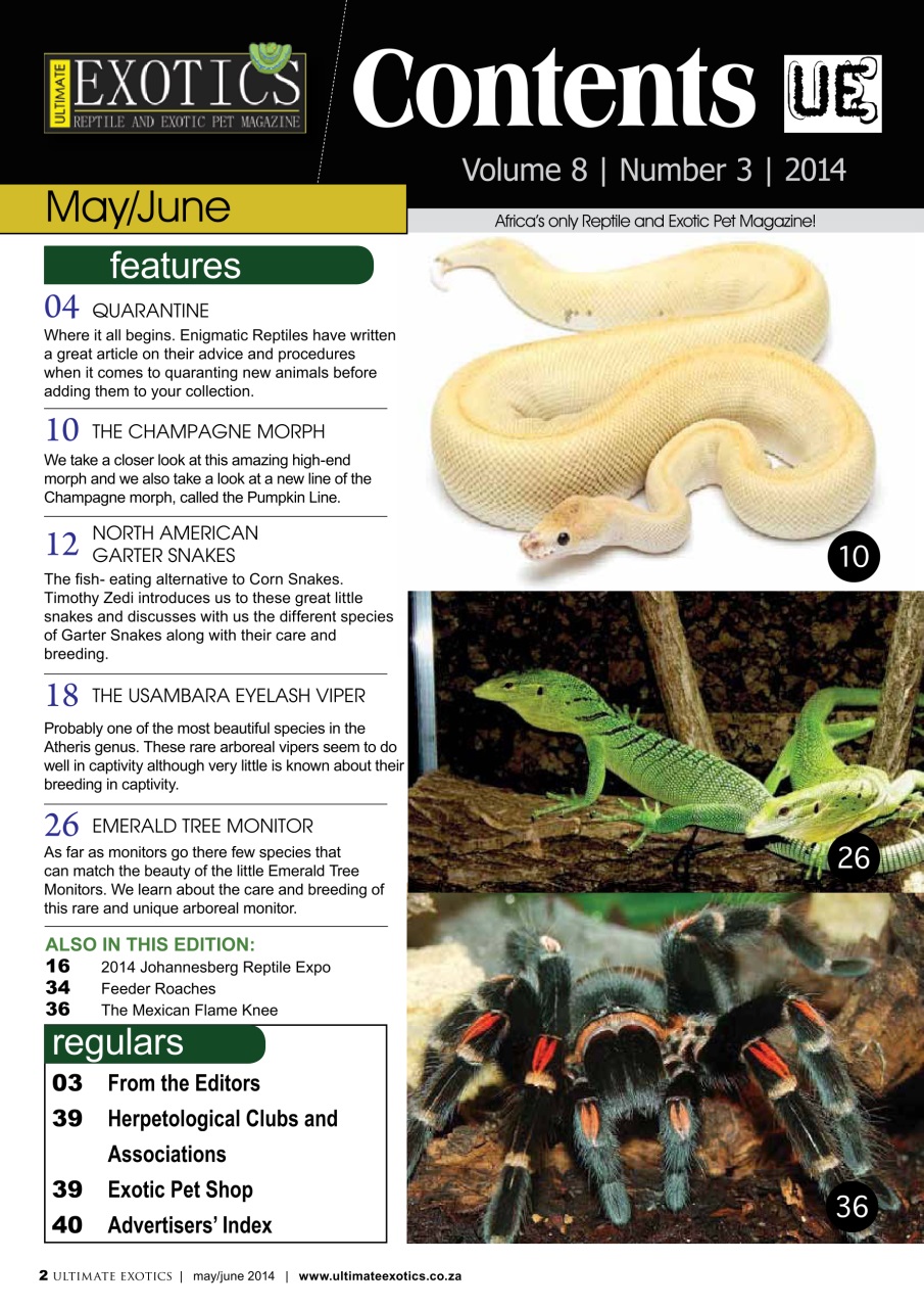 Ultimate Exotics Preview Pages