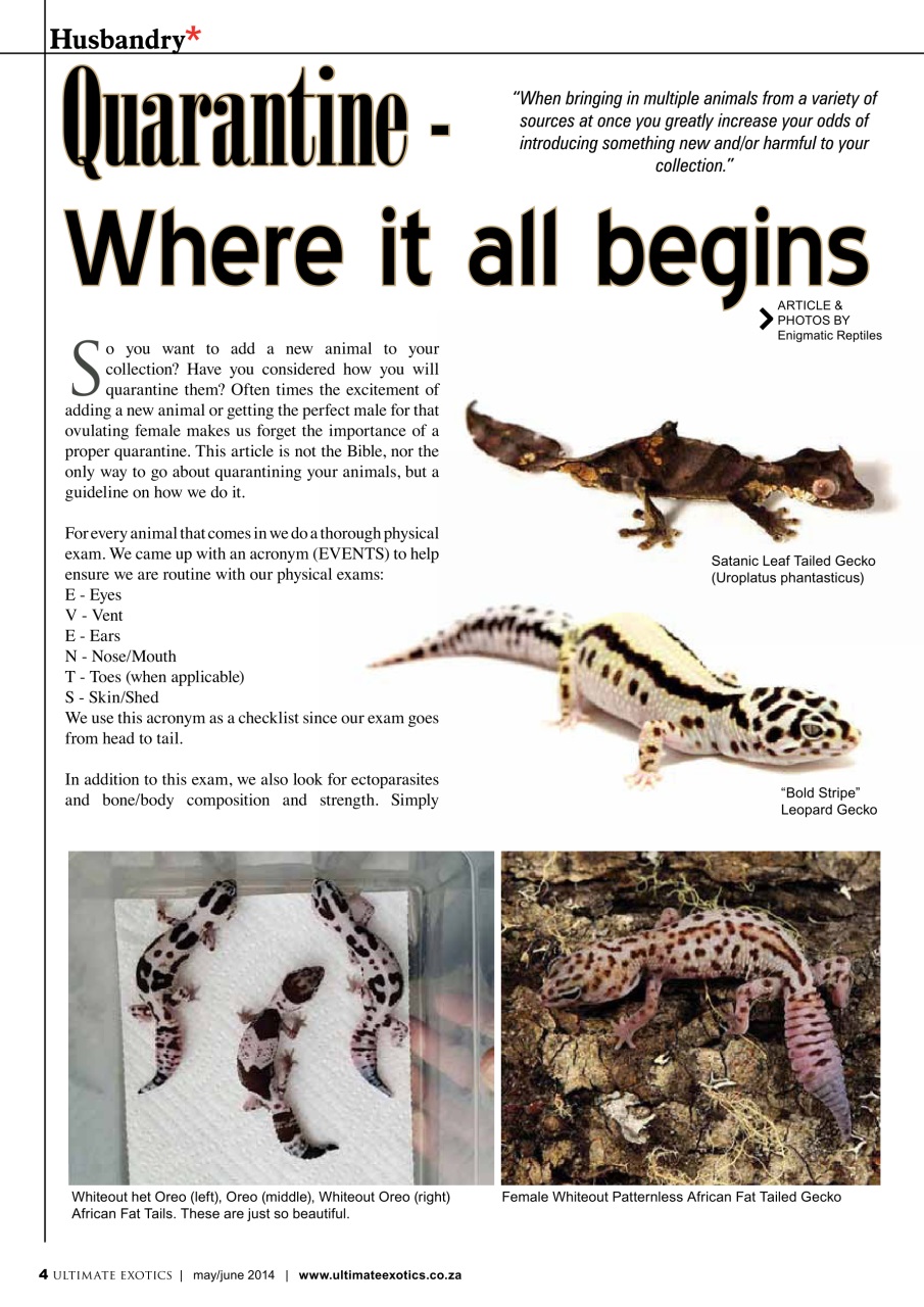 Ultimate Exotics Preview Pages