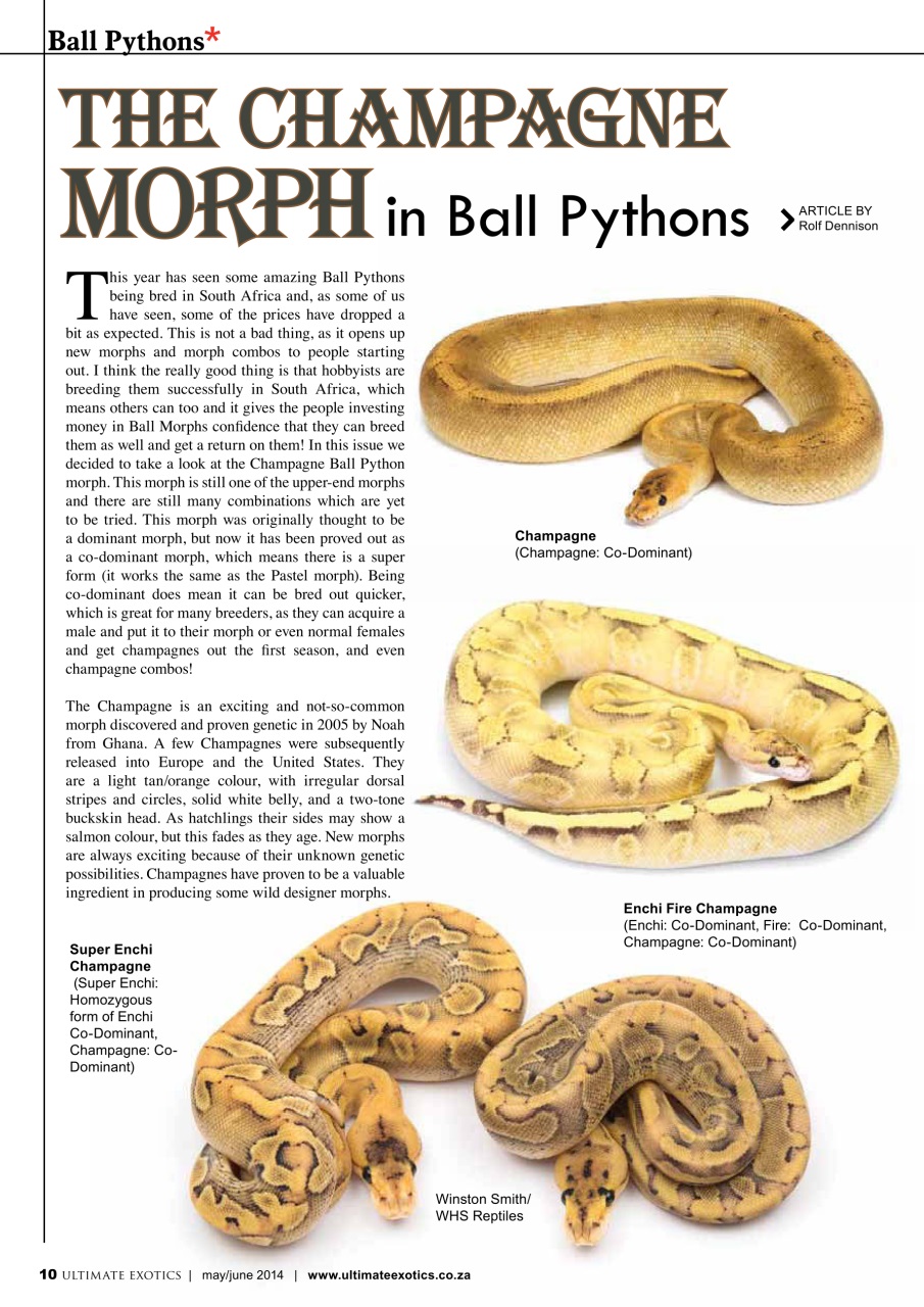 Ultimate Exotics Preview Pages