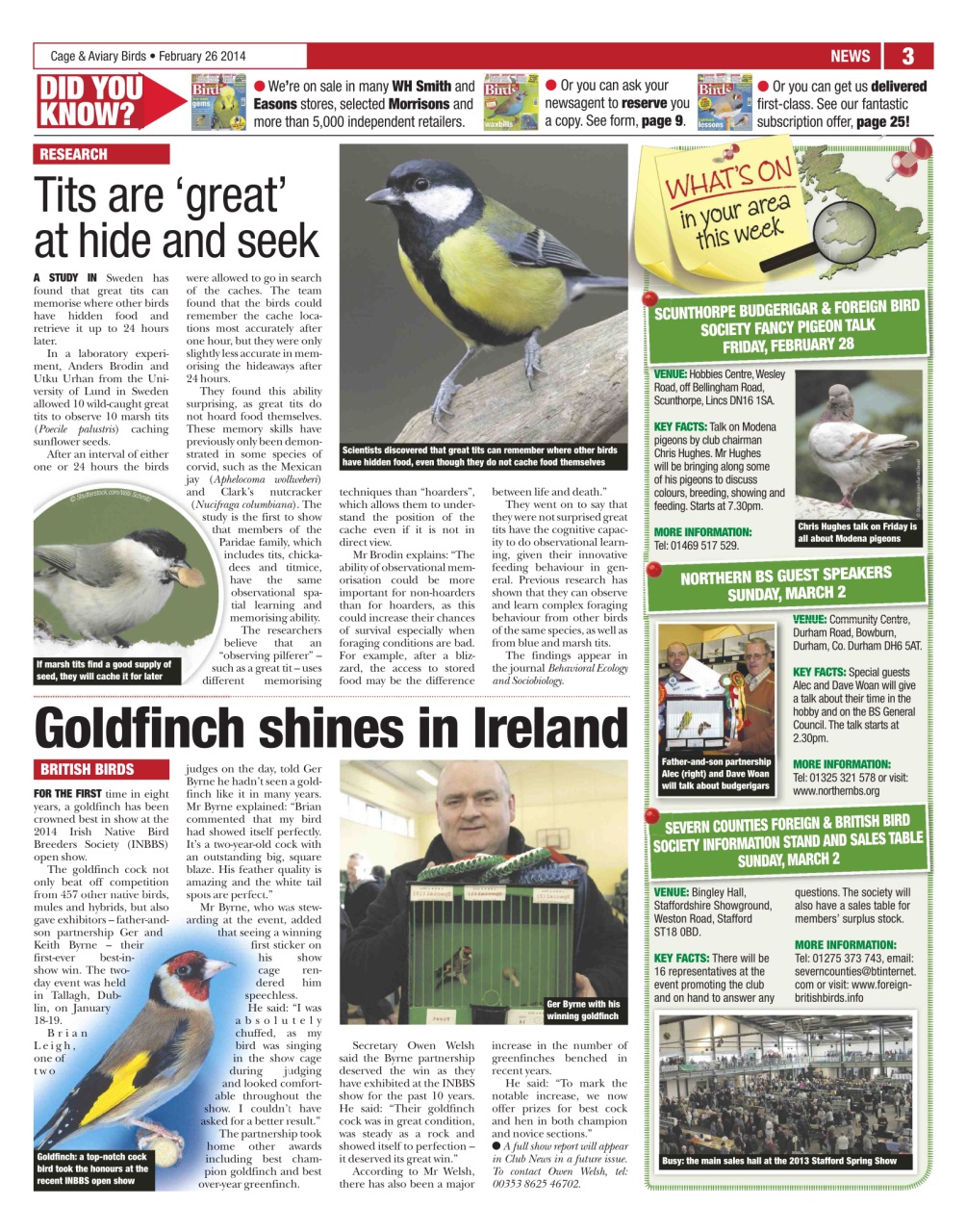 Cage & Aviary Birds Preview Pages