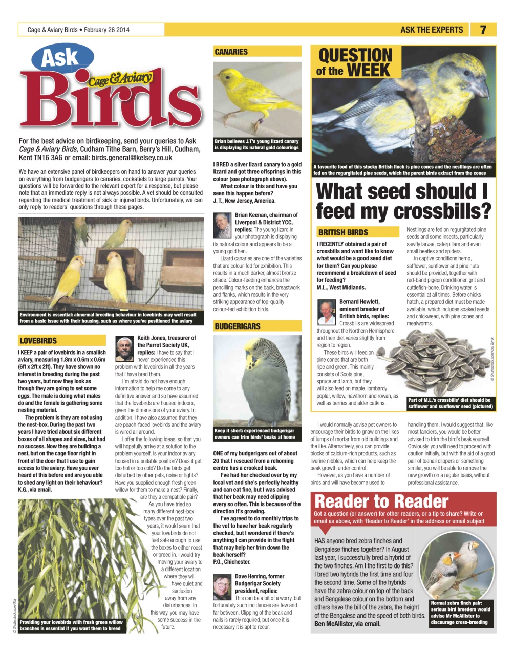Cage & Aviary Birds Preview Pages
