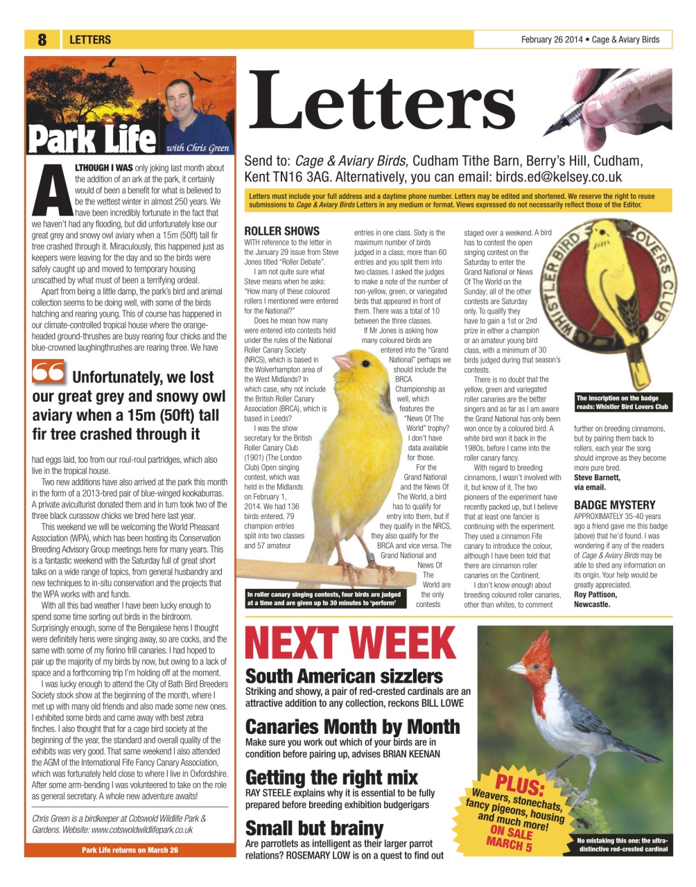 Cage & Aviary Birds Preview Pages