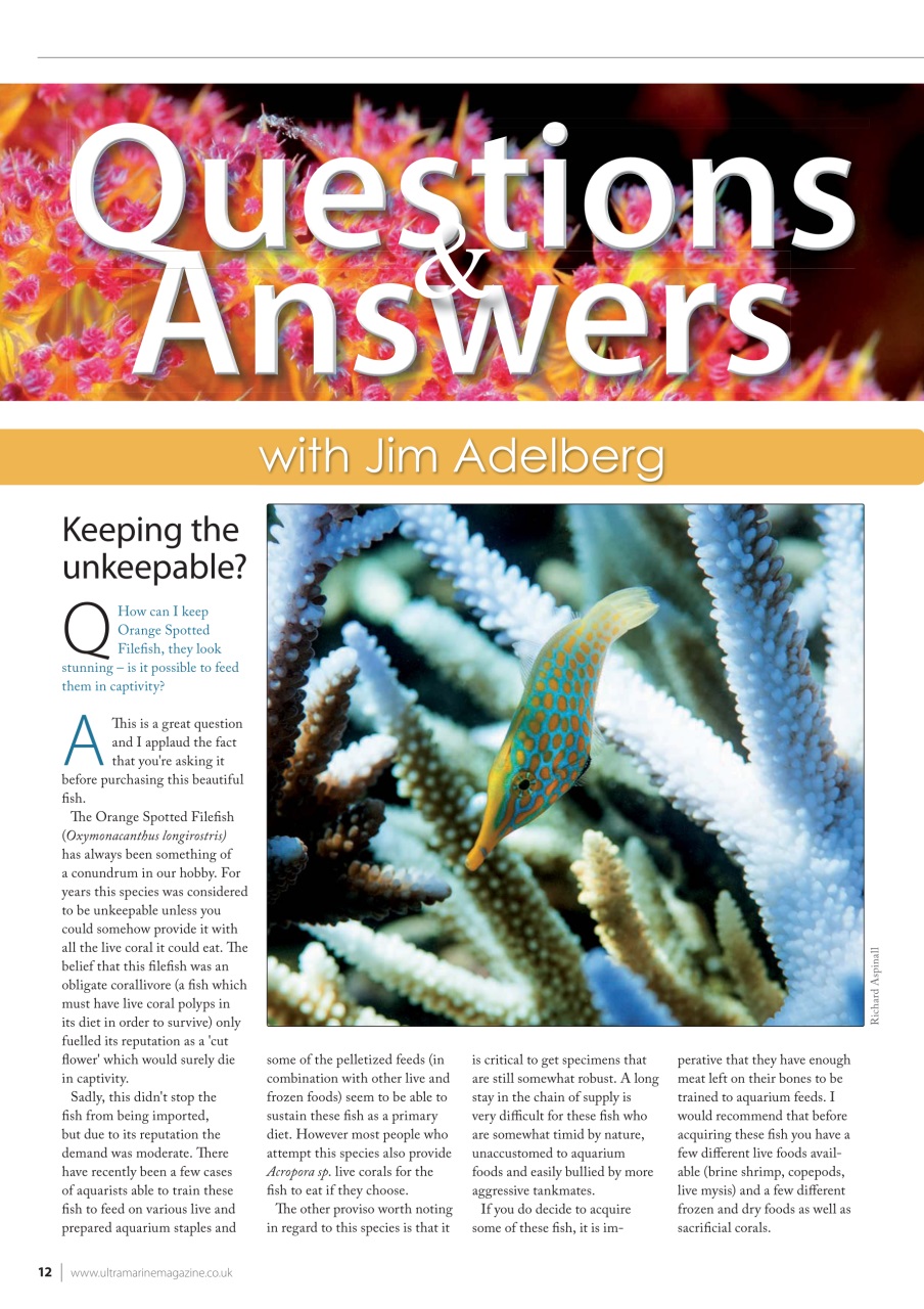 UltraMarine Magazine Preview Pages