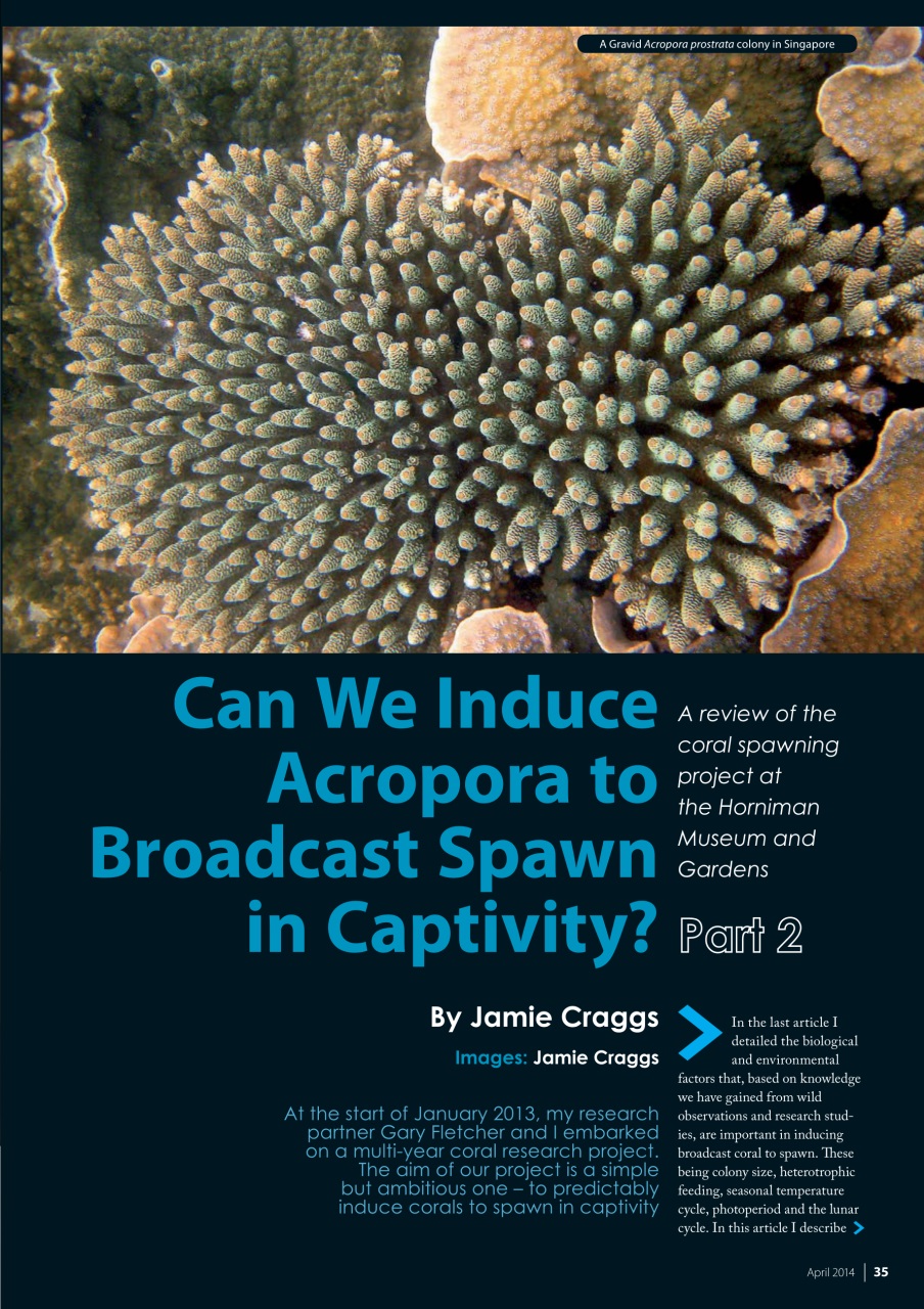 UltraMarine Magazine Preview Pages