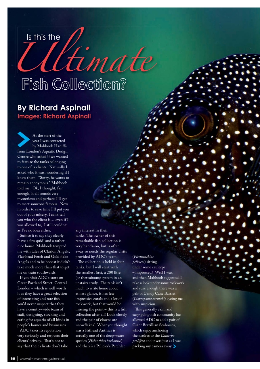 UltraMarine Magazine Preview Pages