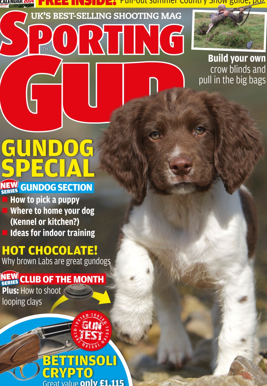 Sporting Gun Preview Pages