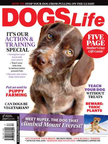 Dogs Life issue May/June Issue#125