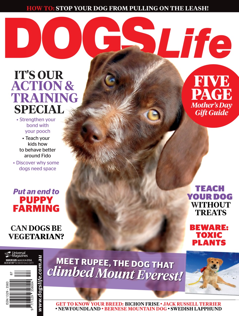 Dogs Life Preview Pages