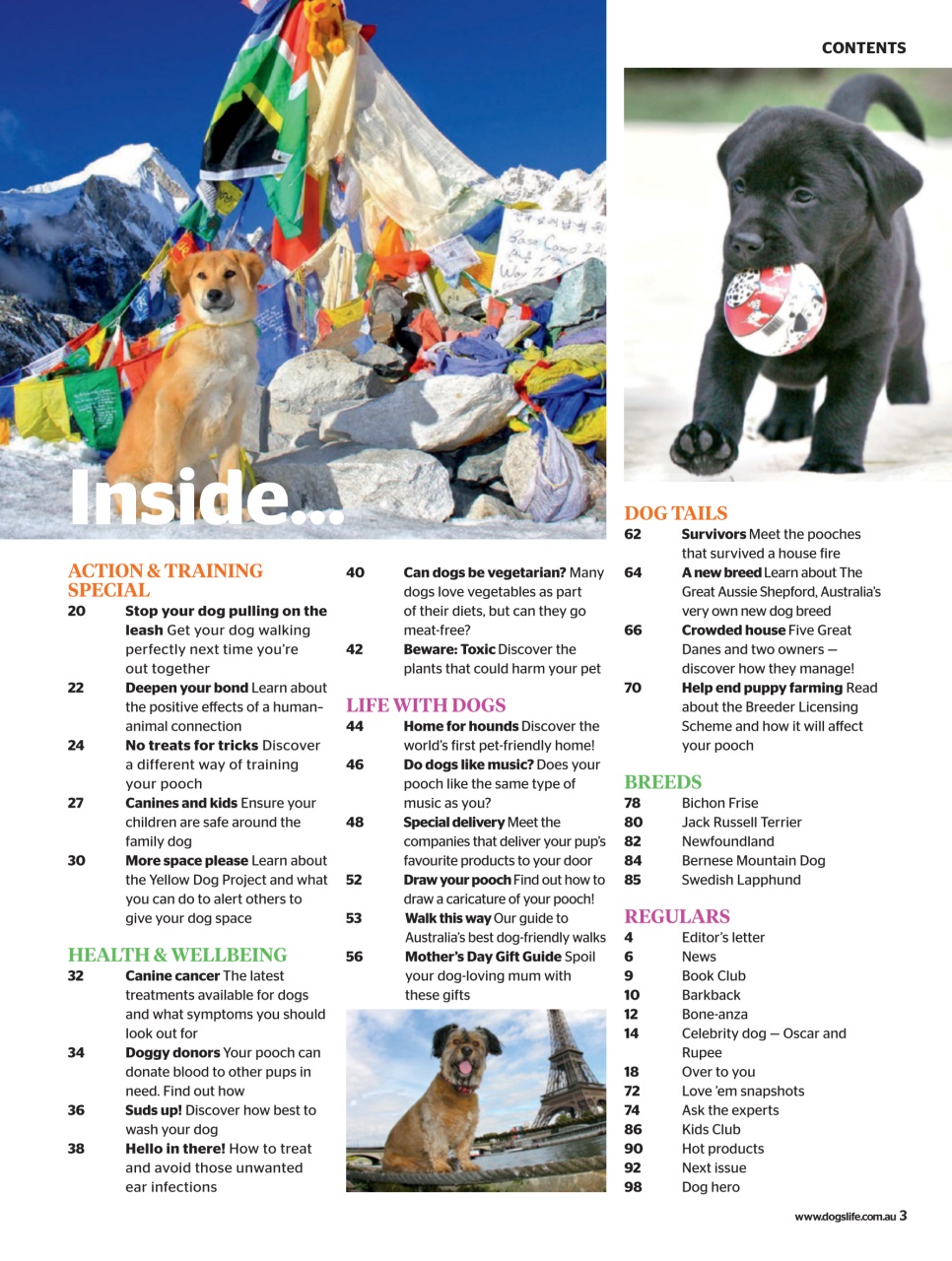 Dogs Life Preview Pages