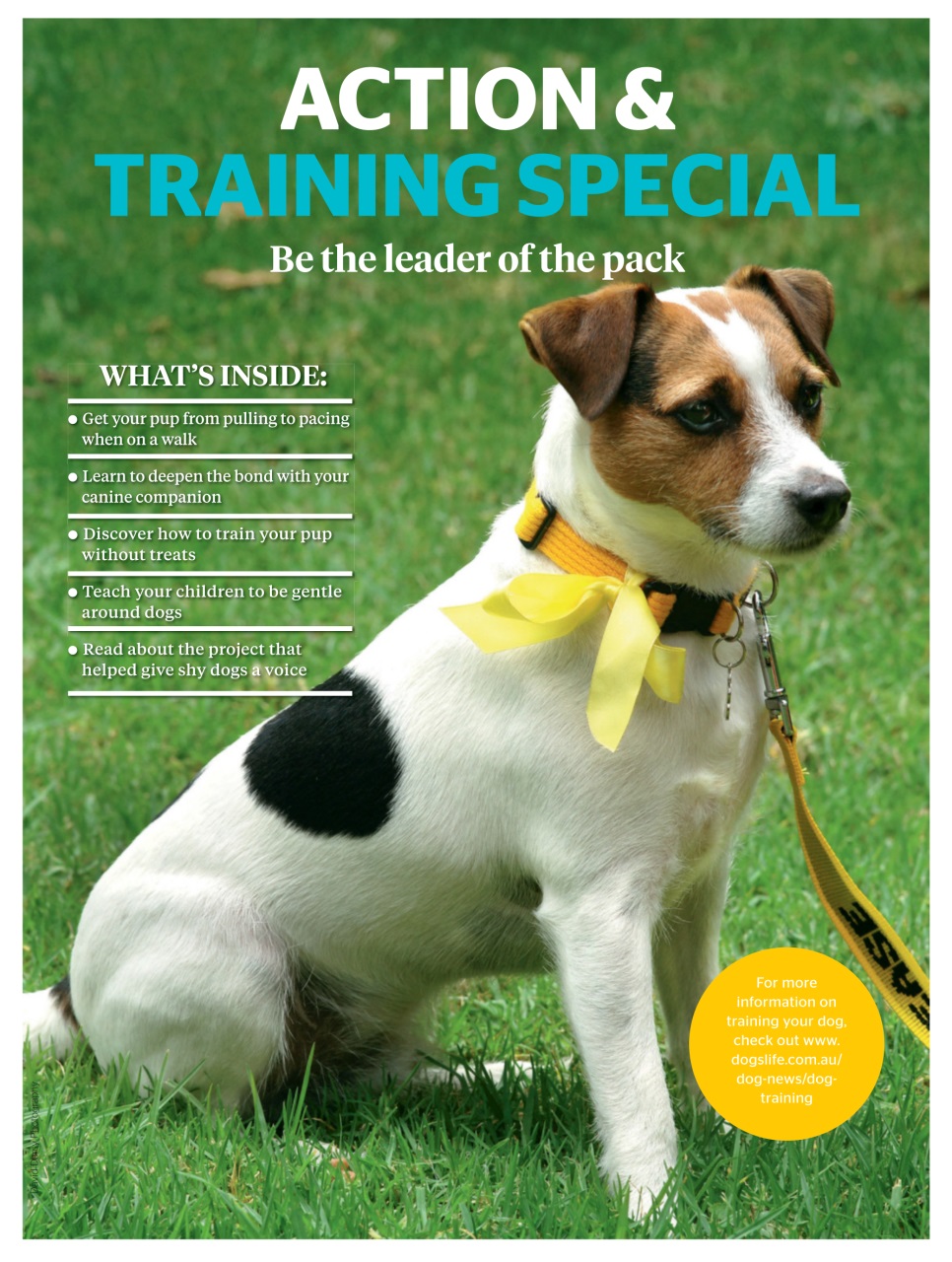 Dogs Life Preview Pages