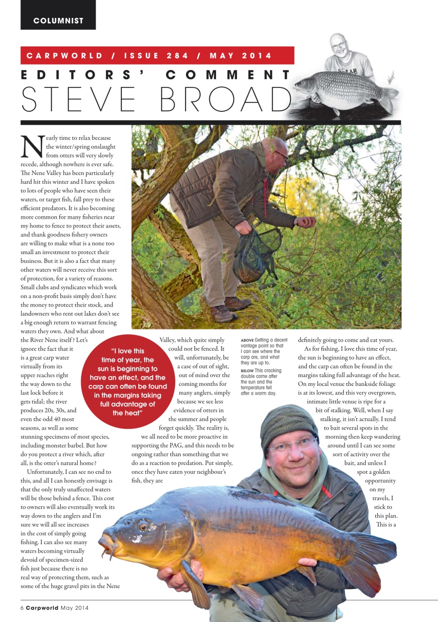 Carpworld Preview Pages