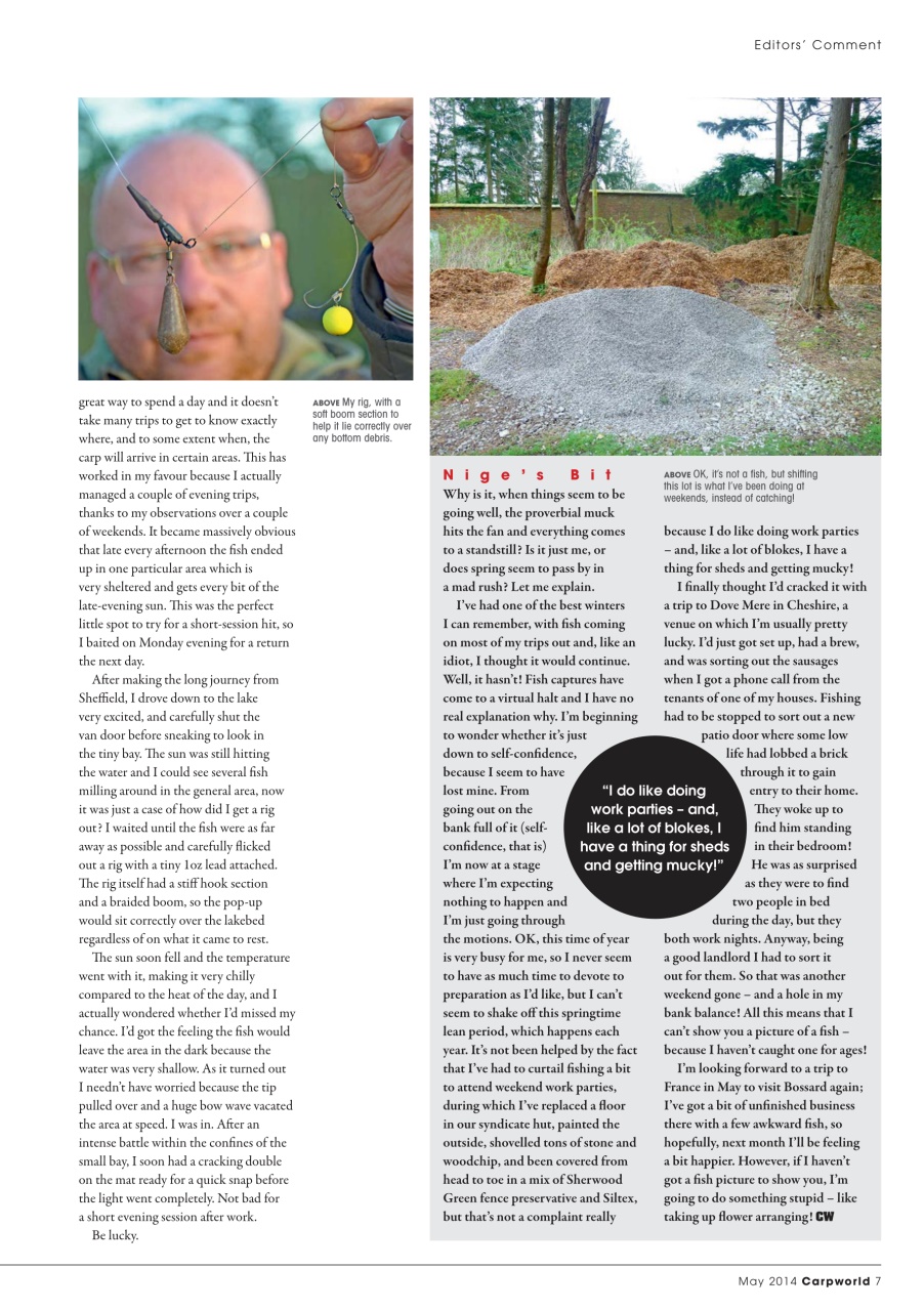 Carpworld Preview Pages