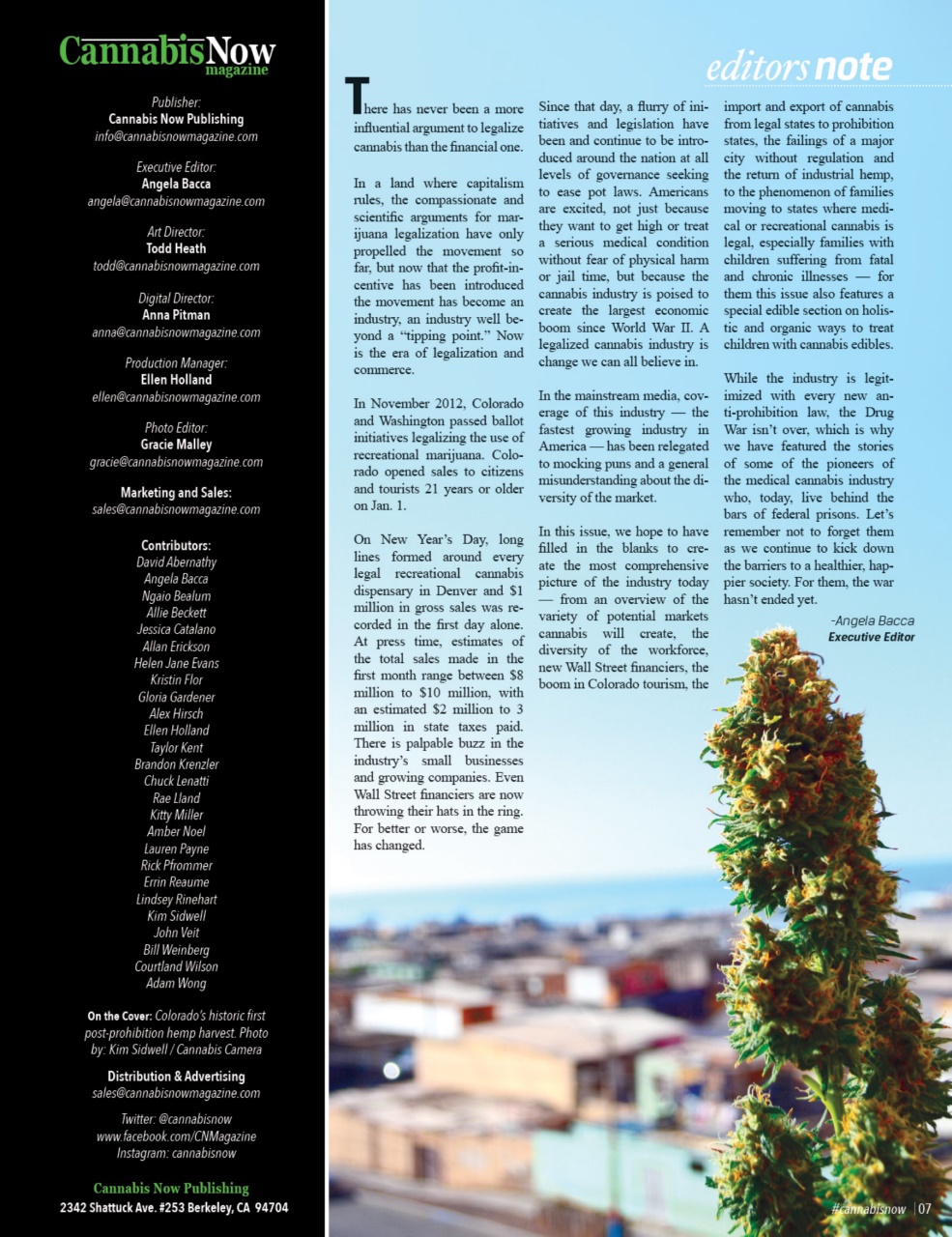 Cannabis Now Preview Pages