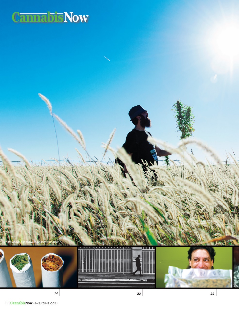 Cannabis Now Preview Pages