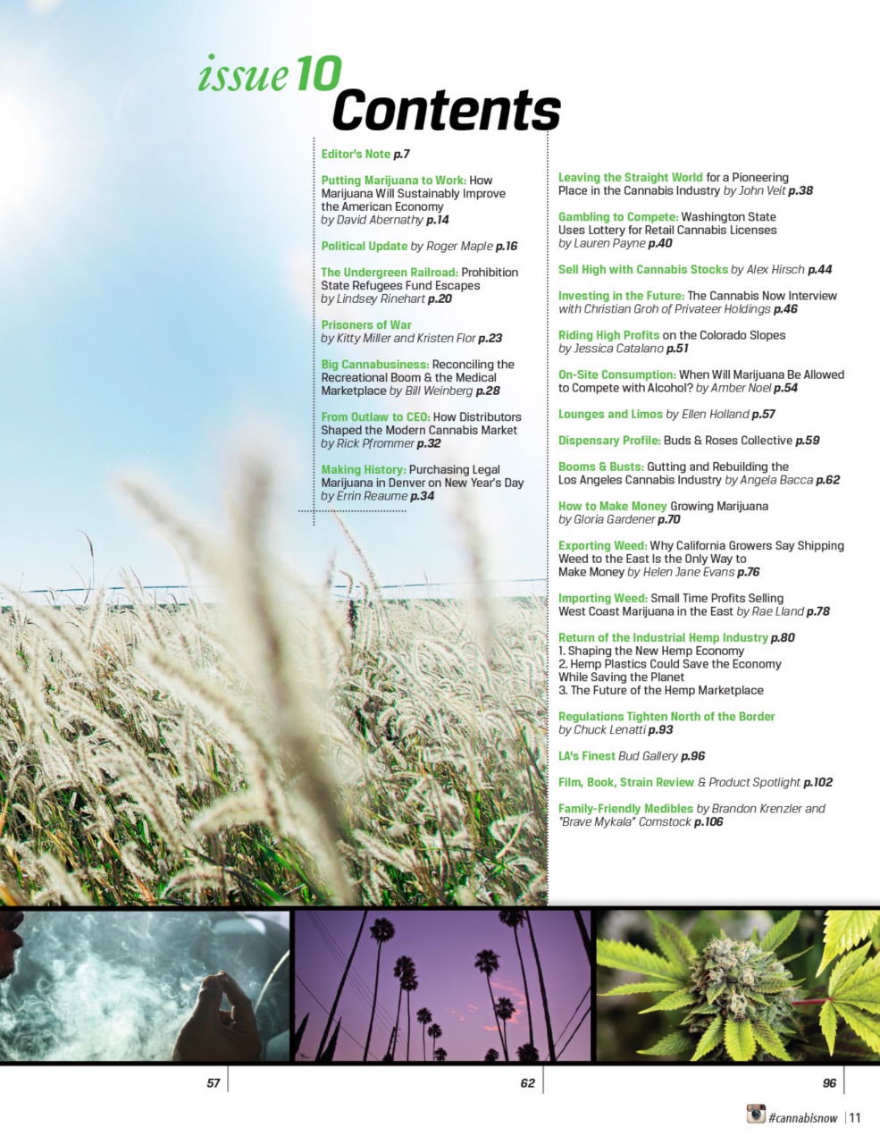 Cannabis Now Preview Pages