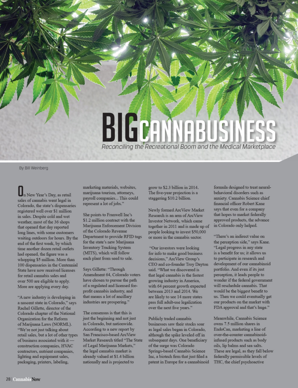 Cannabis Now Preview Pages