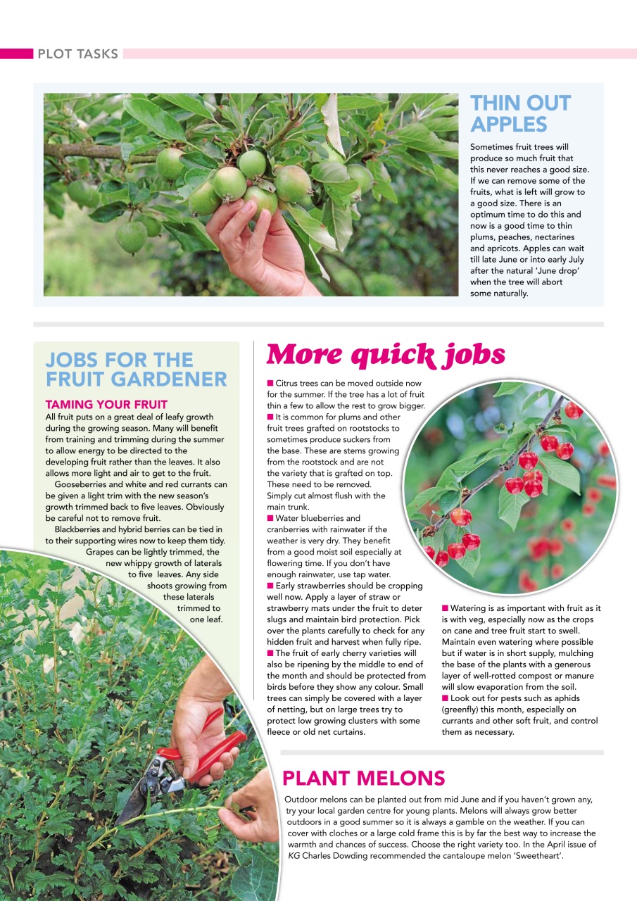 Kitchen Garden Magazine Preview Pages