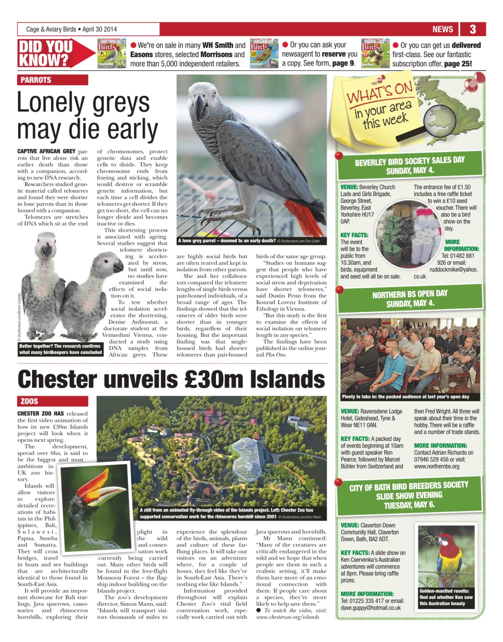 Cage & Aviary Birds Preview Pages