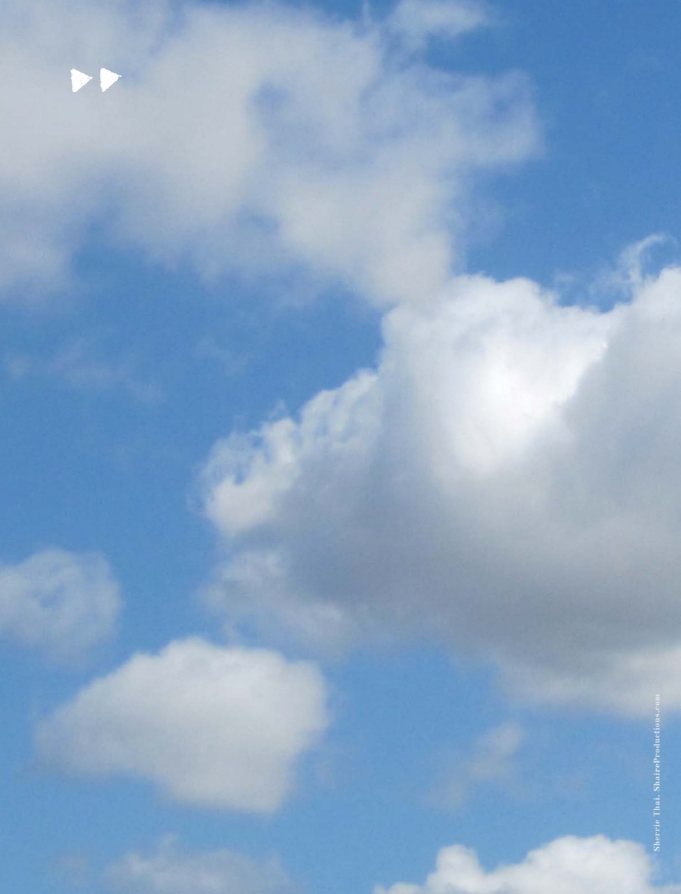 Adbusters Preview Pages