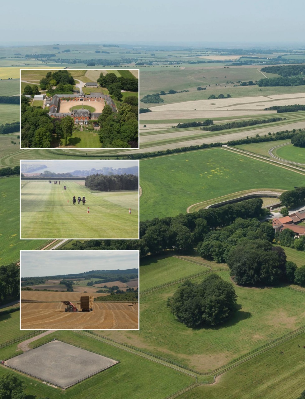 Country Life Preview Pages