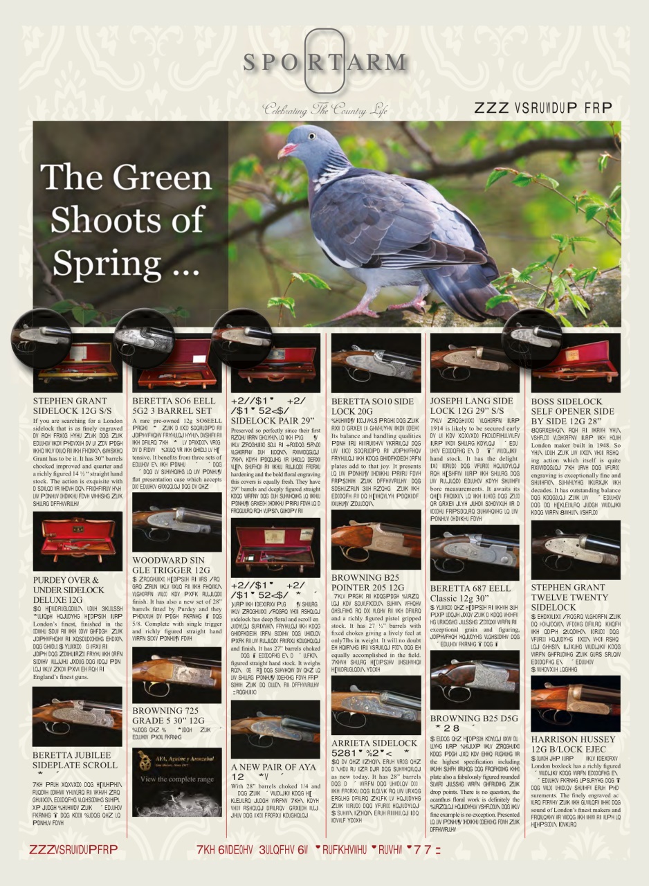 Shooting Times & Country Preview Pages