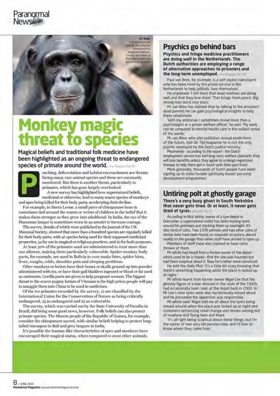 Paranormal Preview Pages