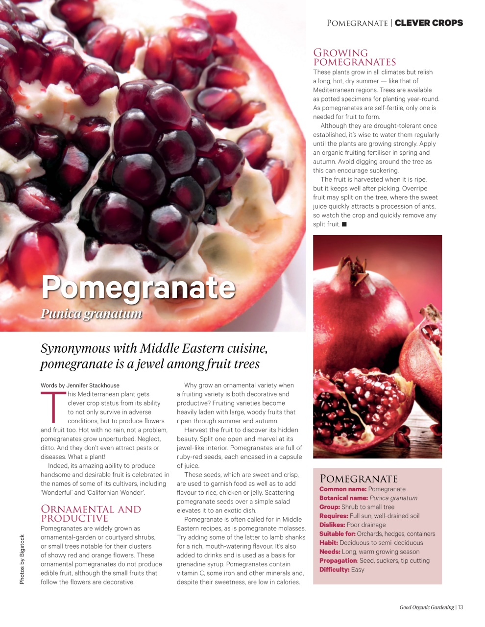 Good Organic Gardening Preview Pages