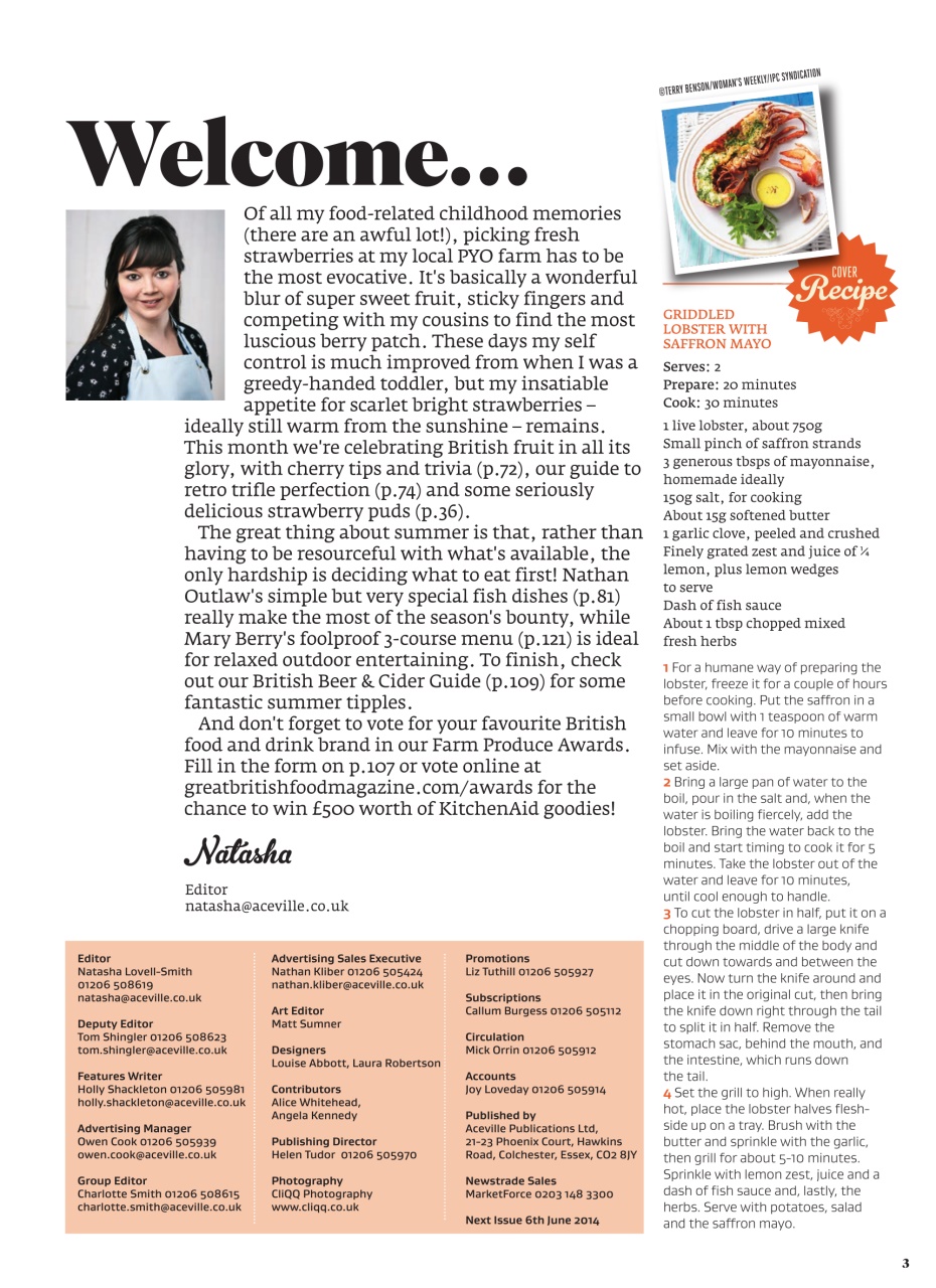 Great British Food Preview Pages