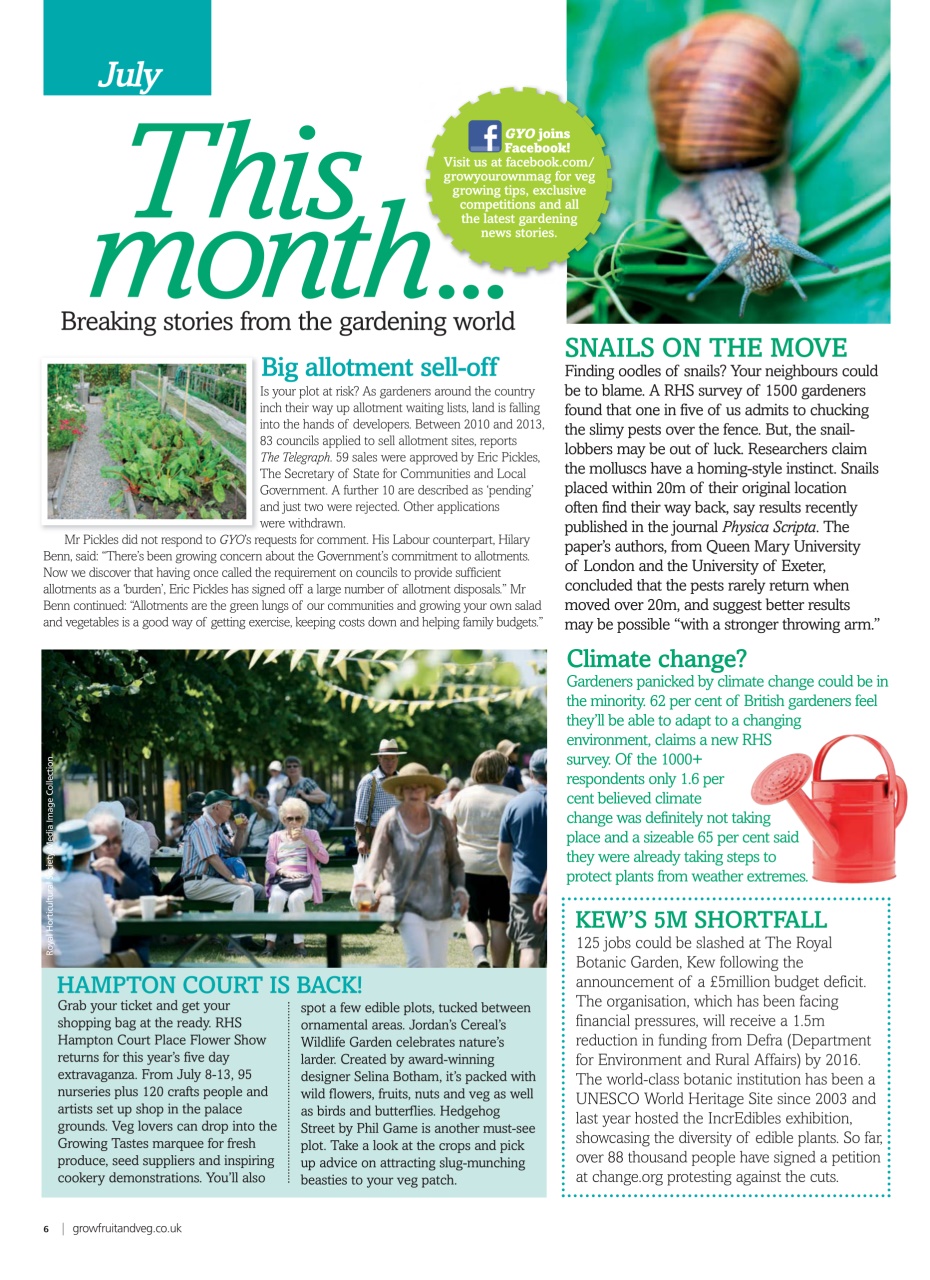 Grow Your Own Preview Pages