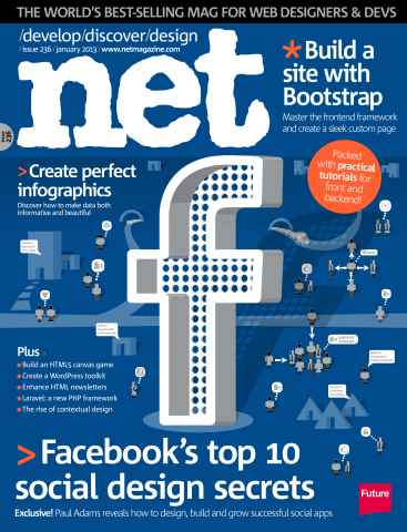 net issue January 2013