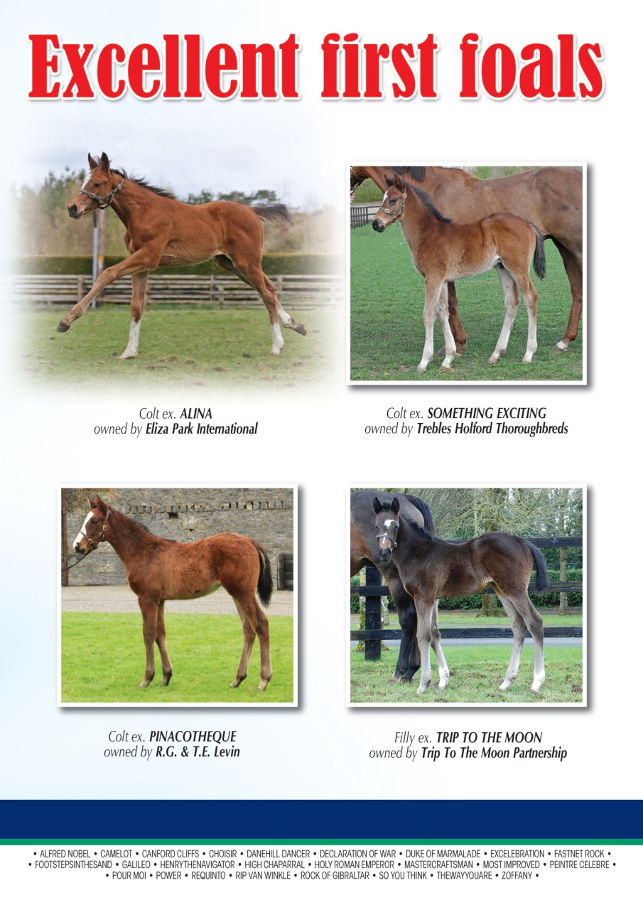 The Owner Breeder Preview Pages