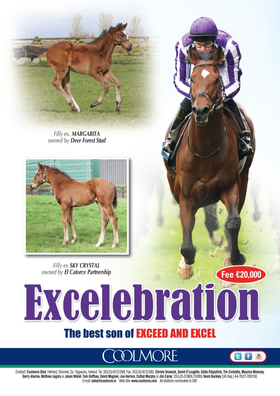 The Owner Breeder Preview Pages