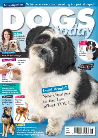Dogs Today Magazine issue June 2014