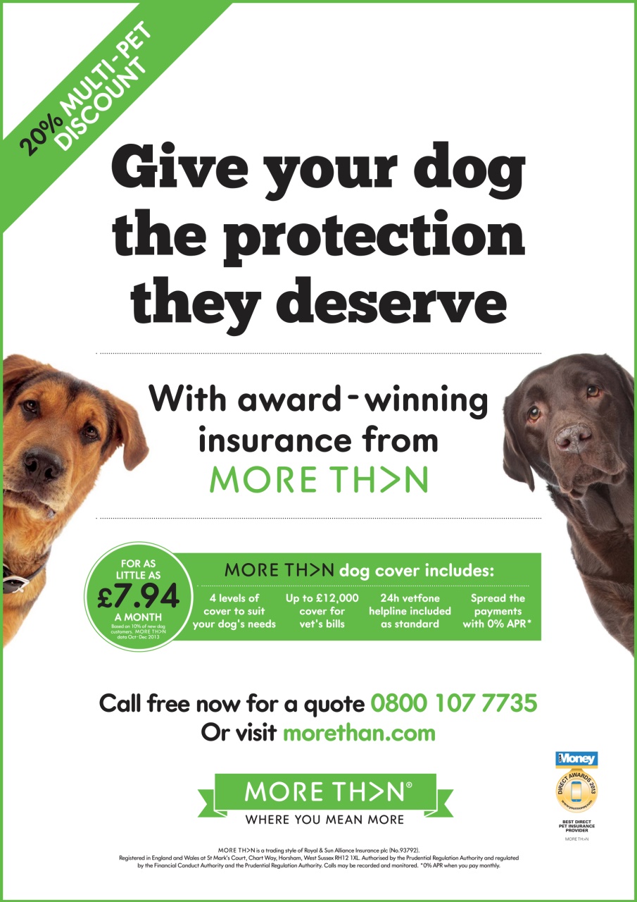 Dogs Today Magazine Preview Pages