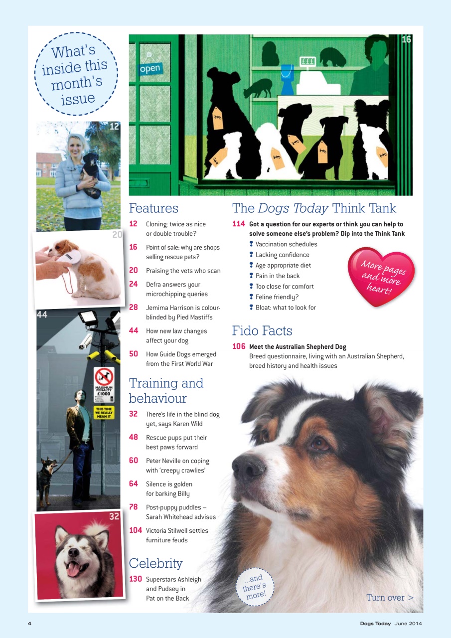 Dogs Today Magazine Preview Pages