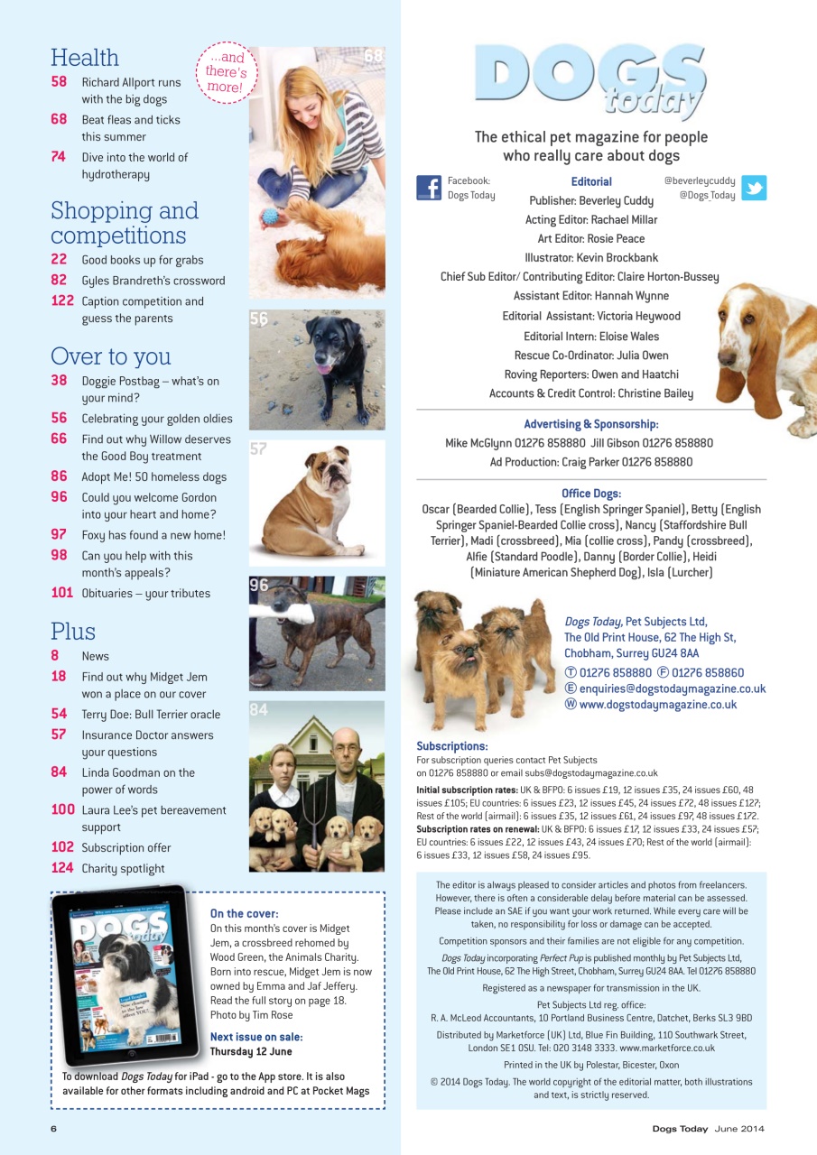 Dogs Today Magazine Preview Pages