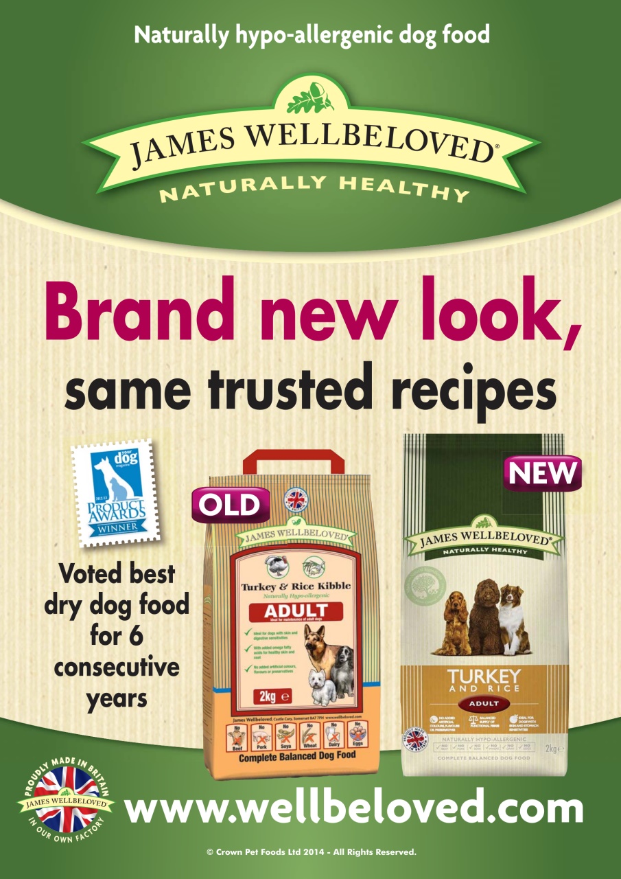 Dogs Today Magazine Preview Pages