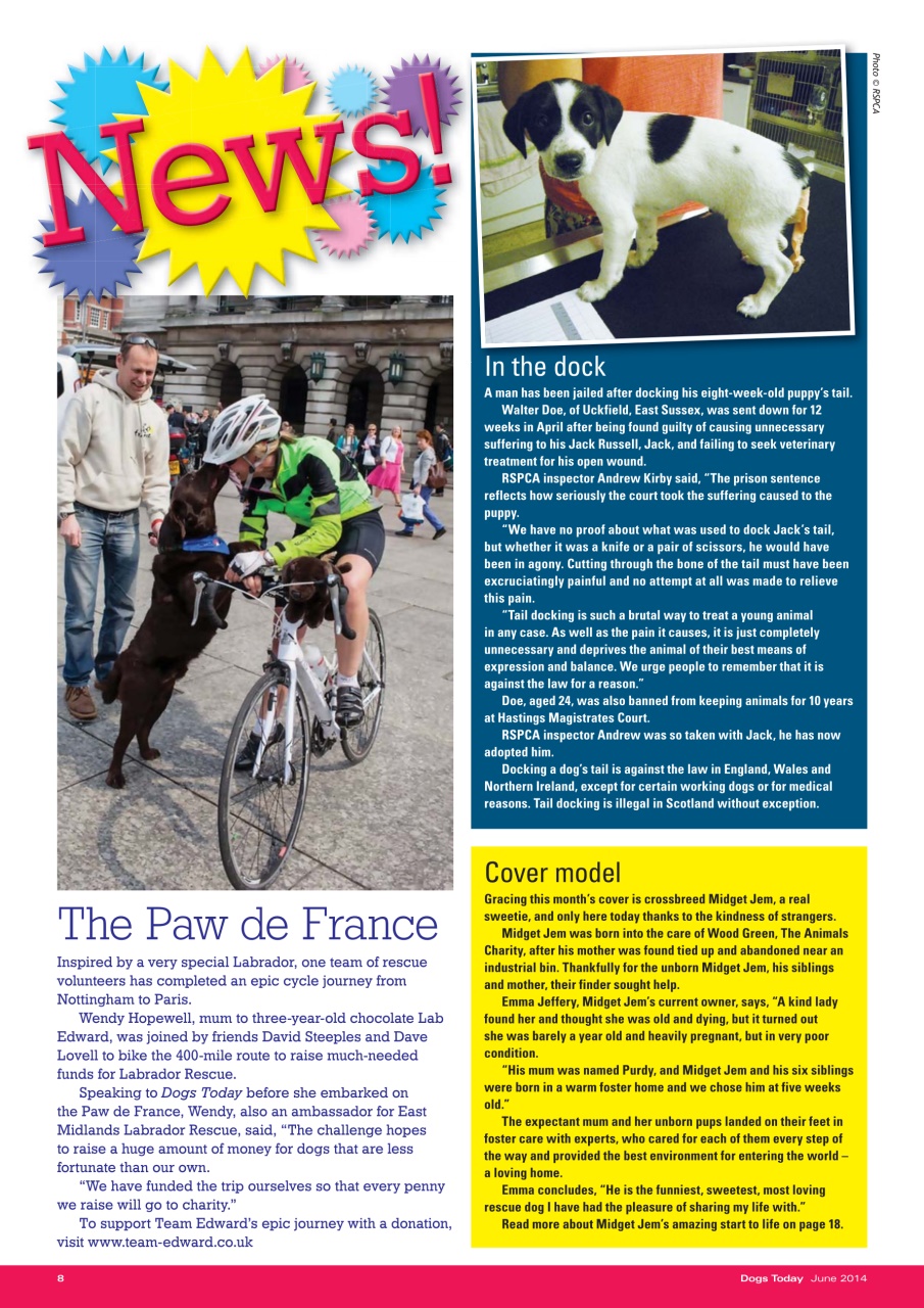 Dogs Today Magazine Preview Pages