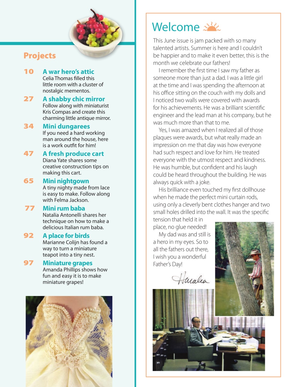 American Miniaturist Preview Pages