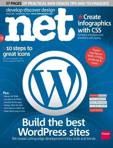 net issue November 2013