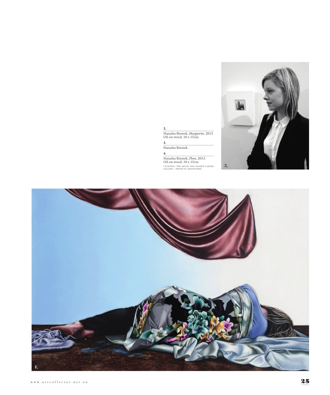 Art Collector Preview Pages