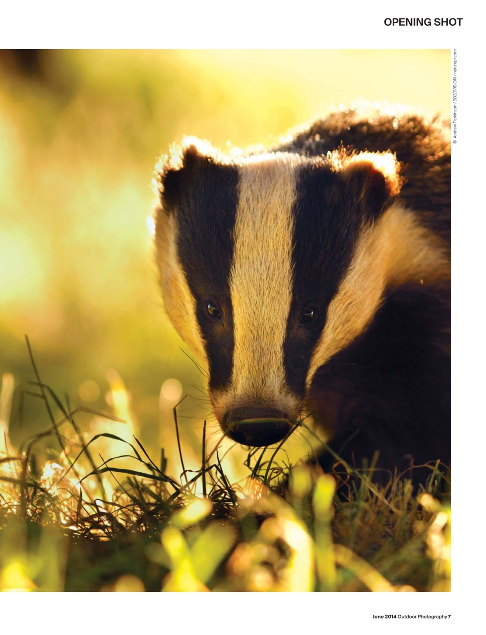 Outdoor Photography Preview Pages