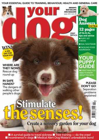 Your Dog issue Your Dog Magazine June 2014
