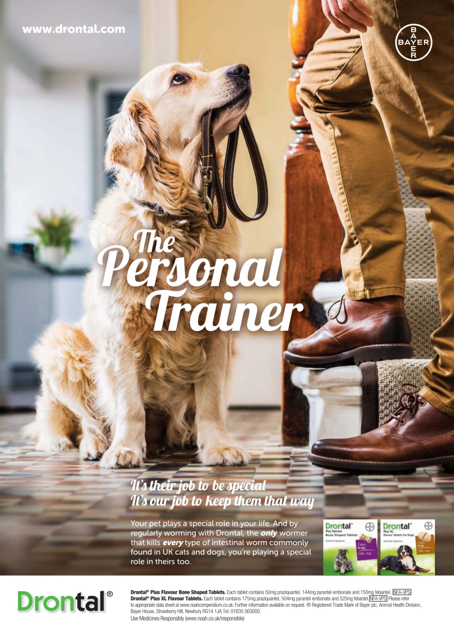 Your Dog Preview Pages