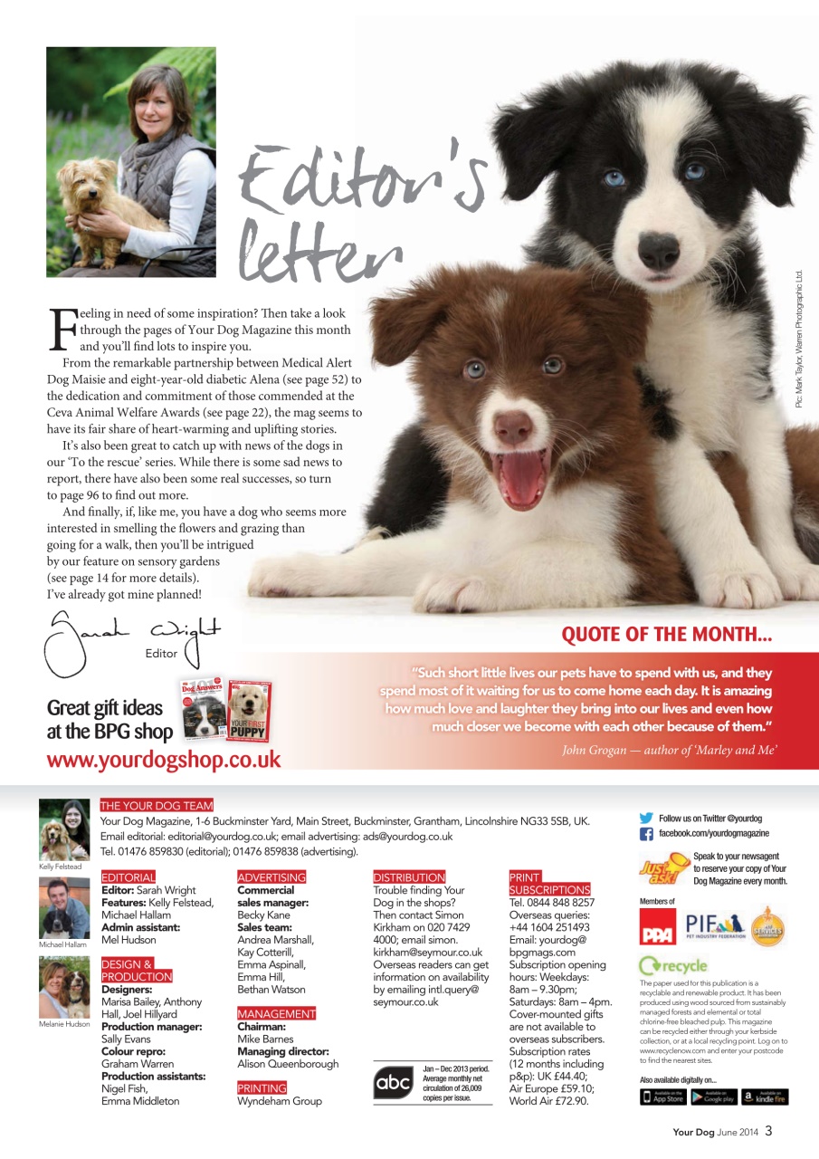 Your Dog Preview Pages