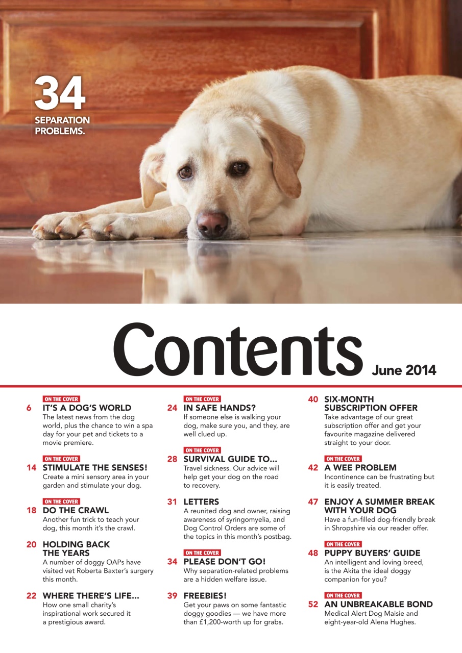 Your Dog Preview Pages