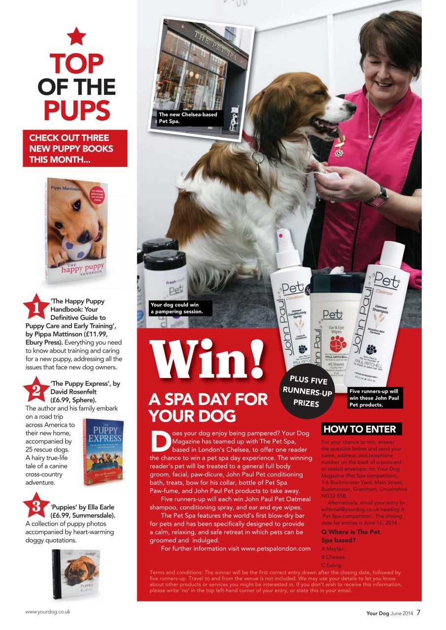 Your Dog Preview Pages