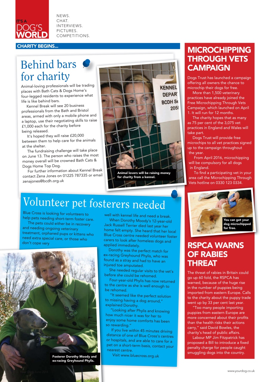 Your Dog Preview Pages